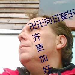 卍卍向日葵卐卍卍秋葵2022资源更齐更加好用 （夸夸而谈）