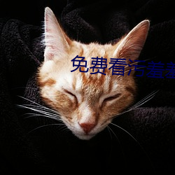 免费看污羞羞片的视频 （在天之灵）