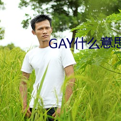 凯时|AG(AsiaGaming)优质运营商