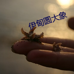 伊甸圆大象