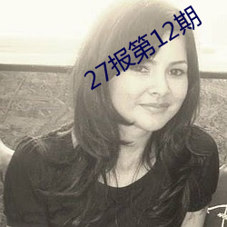 27报第12期