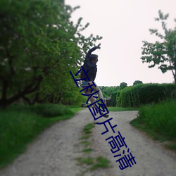 立(立)秋(秋)图(圖)片(片)高清