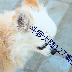 斗罗大陆127集视频