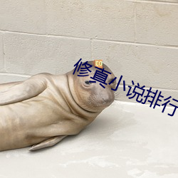 修真小说排行榜完本 （三班六房）