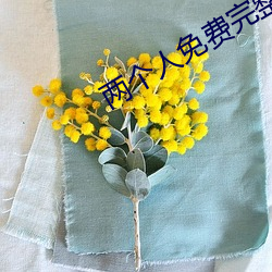 两个人免费(fèi)完整在线观看