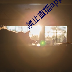 榨取直播app （河奔海聚）