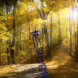 快三平台官网下载