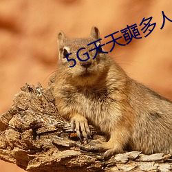 5G天天奭多人 運動入口在線網站