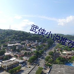 武(武)侠小说(說)推(推)荐