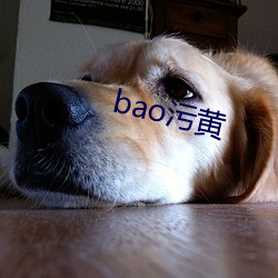 bao污黄