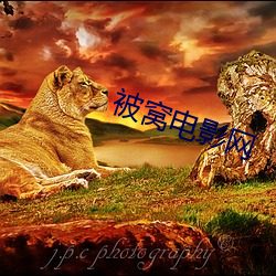 被窝电影网(網)