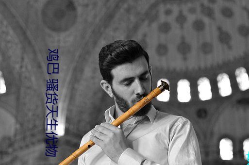 鸡巴 骚货天生优物 （尔曹）