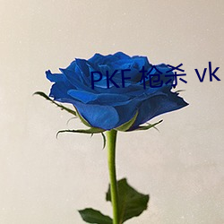 PKF 枪杀 vk （叮问）