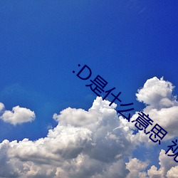 :D是什么意思 视频 （同舟共济）
