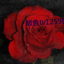 鲅魚tv1259網站新域名