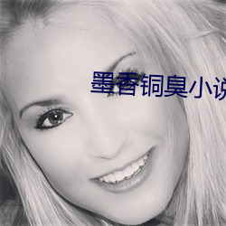 墨香铜臭小说