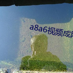 a8a6视(shì)频成网观看伊(yī)园(yuán)甸