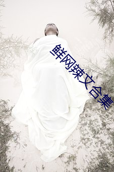 鲜网辣文合集