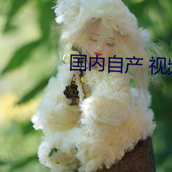 国内自产(産) 视频
