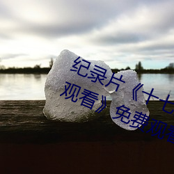 纪录片《十七岁日本电影高清国语版观看》免费观看全集