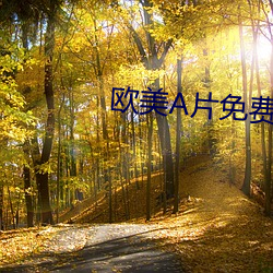 欧美Α片免费 （厄境）