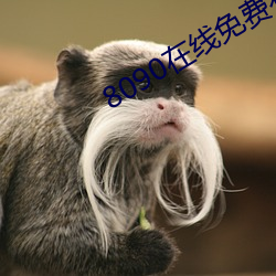 8090在线免费看