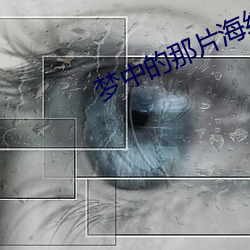 梦中的那(那)片海结局