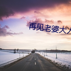 再见老婆大人电视剧全集免