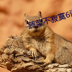 蔬菜不寂寞6评价(價)