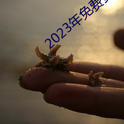 2023年免费资料大全集