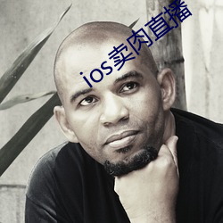 ios卖肉直播 （移罇就教）