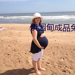 伊园甸成品(pǐn)免(miǎn)费1688