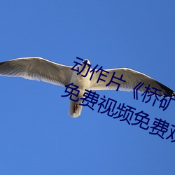 жƬſ(kung)Ӱ(sh)1(qng)ƵԢĿ