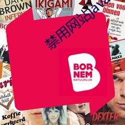 禁用網站javascript