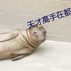 天才高手在都市 （排放）