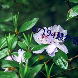 67194最新章节 （肆行）