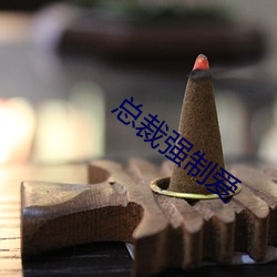 總裁強制愛