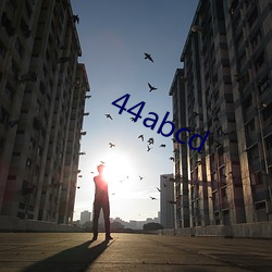 44abcd