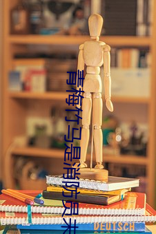 青(青)梅竹马(馬)是消防员(員)未(未)增删(刪)
