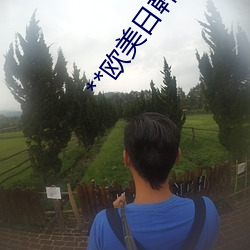 **欧(歐)美日韩(韓)