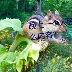 晚上(shàng)一个人睡不着偷(tōu)偷(tōu)看b站是什(shén)么(me)内容?