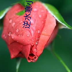 逆水寒小(xiǎo)说