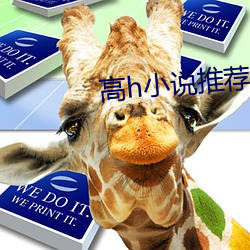 高h小说推荐