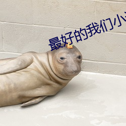 最好的我们小说