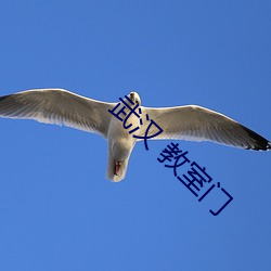 武汉 教室门