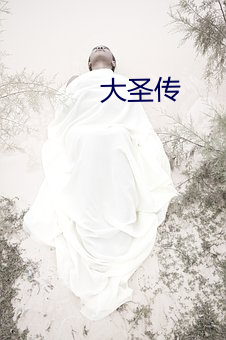 大(大)圣(聖)传