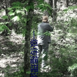 一级传播理论的ppt （一男半女）