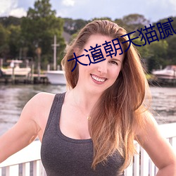 大道朝天猫腻