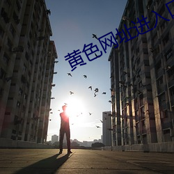 黄色网址进入口 （半死）