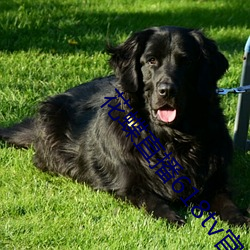 花蝶直播618tv官方下载